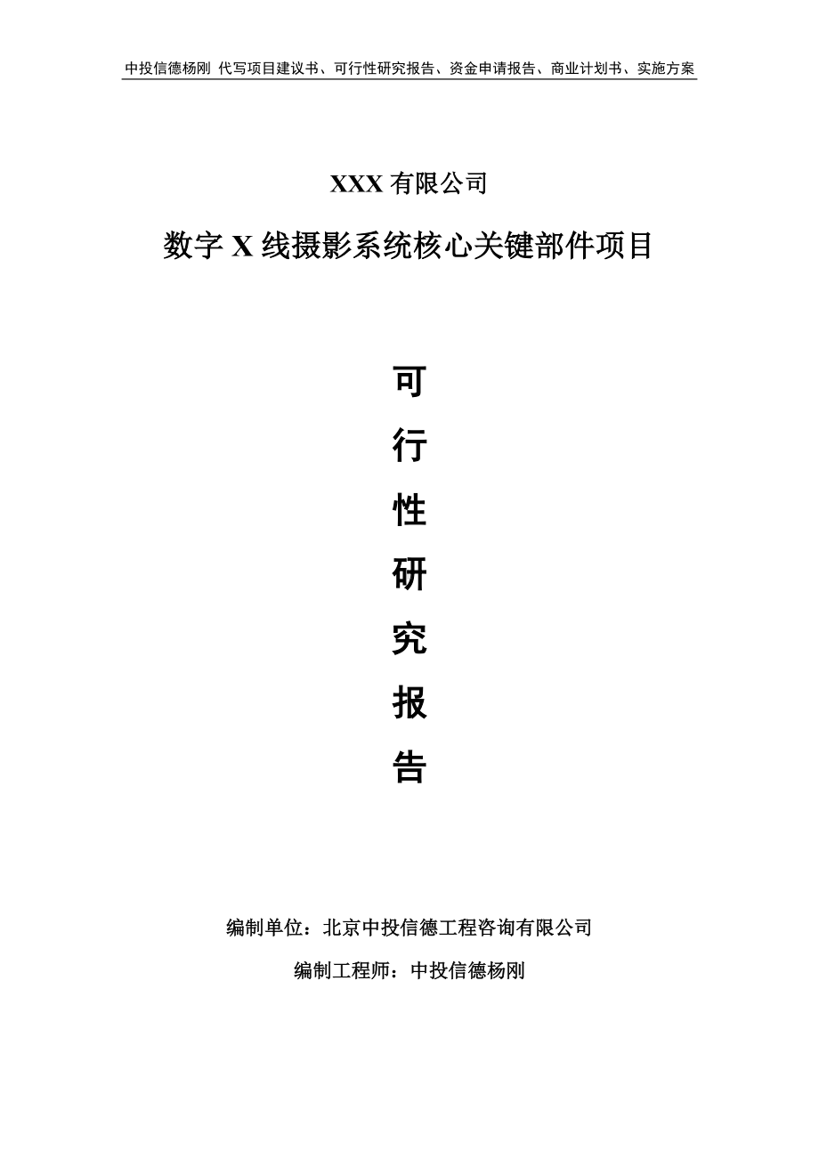 数字X线摄影系统核心关键部件可行性研究报告申请备案.doc_第1页