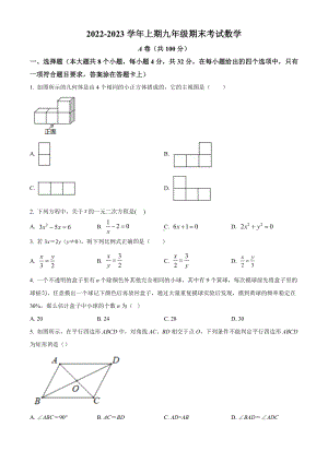 四川省成都市天府新区2022-2023学年九年级上学期期末考试（一模）数学试题.docx