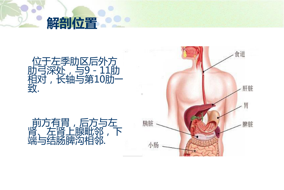 脾破裂护理课件.ppt_第3页