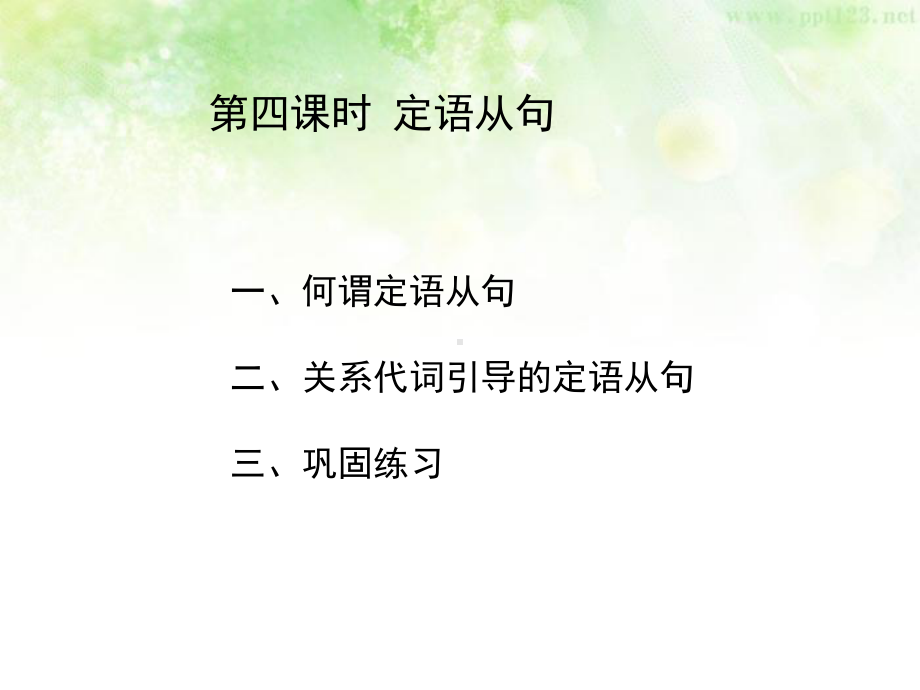 2021年中考英语语法复习之定语从句ppt课件.ppt_第2页