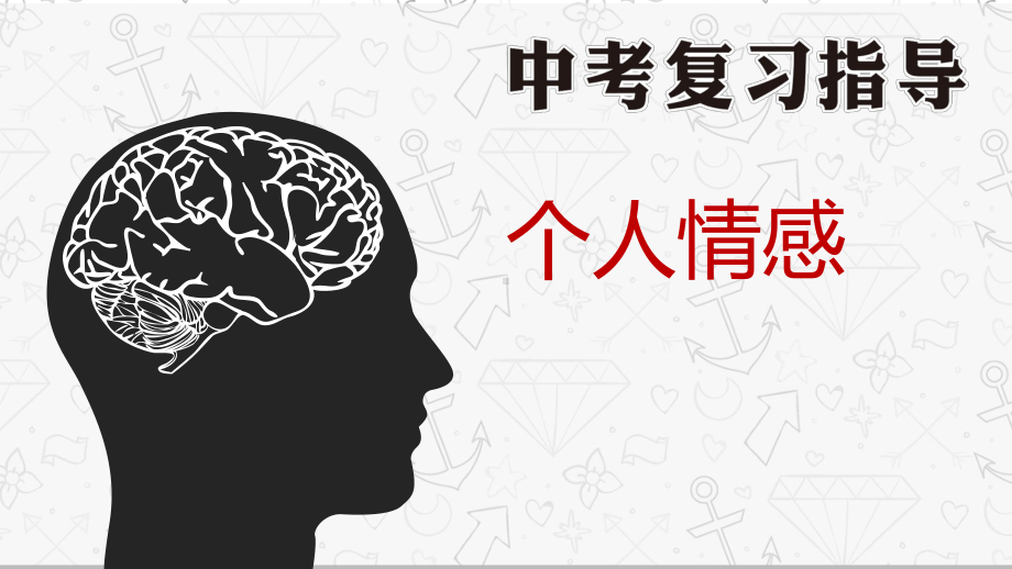 2021年英语中考话题复习ppt课件：个人情感.pptx_第1页