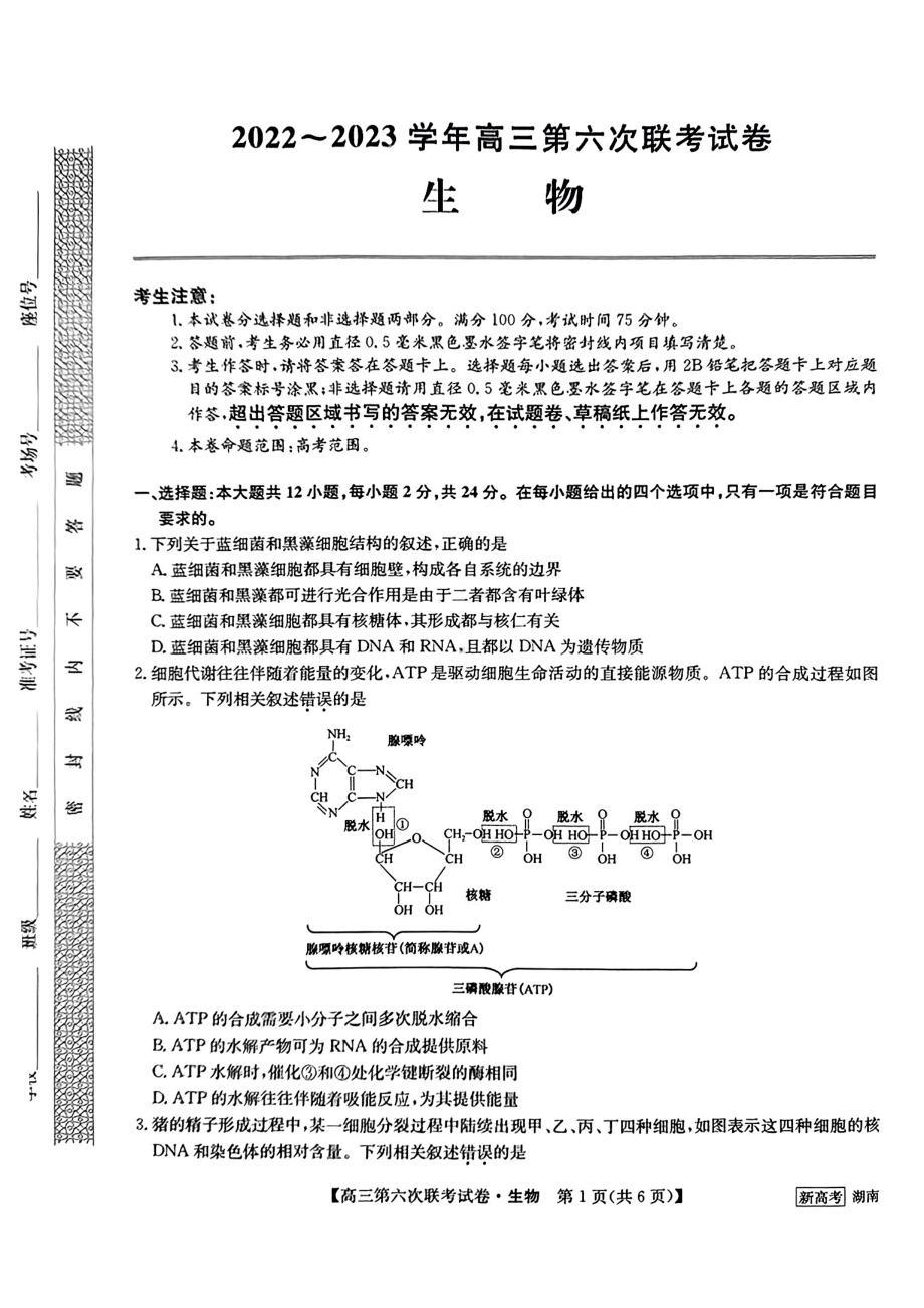 湖南省2022-2023学年高三第六次联考生物试卷及答案.pdf_第1页