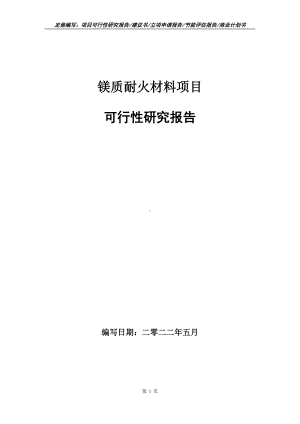 镁质耐火材料项目可行性报告（写作模板）.doc