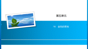 三年级上册语文习题课件-第5单元 16%E3%80%80金色的草地 人教部编版(共11张PPT).ppt