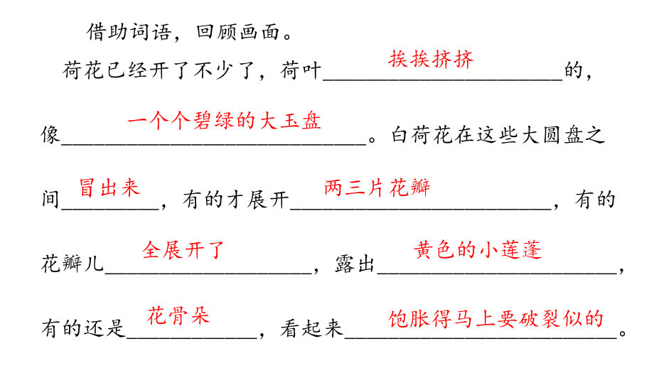 部编版语文三年级下册3荷花第二课时.pptx_第3页