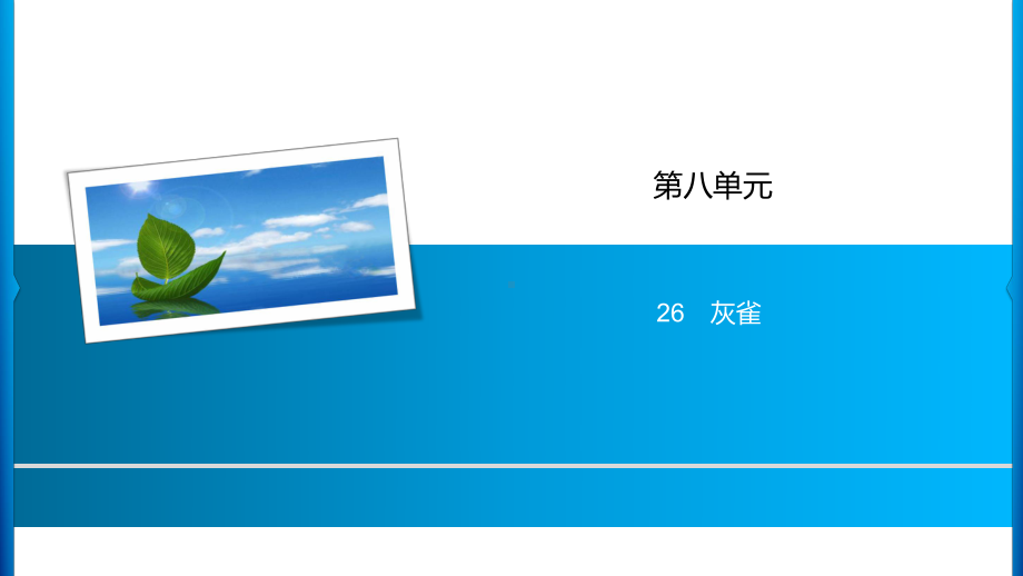 三年级上册语文习题课件-第8单元 26%E3%80%80灰雀 人教部编版(共11张PPT).ppt_第1页