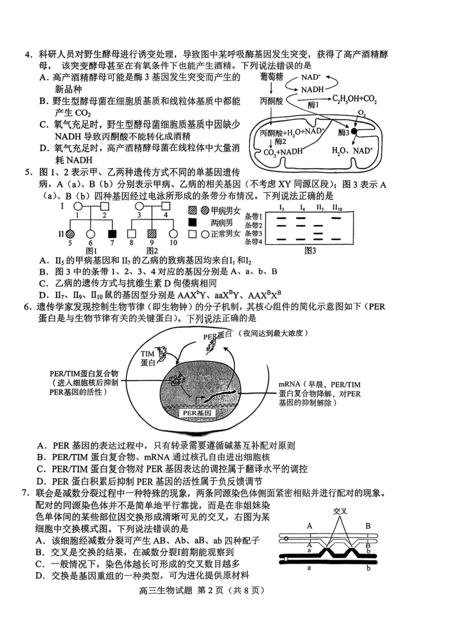 山东省菏泽市2023年高三一模考试生物试题及答案.pdf_第2页