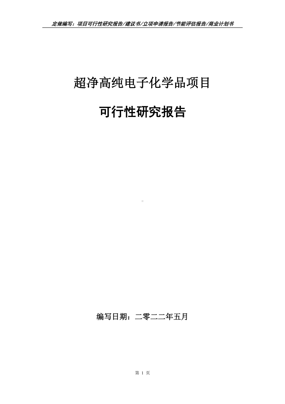 超净高纯电子化学品项目可行性报告（写作模板）.doc_第1页