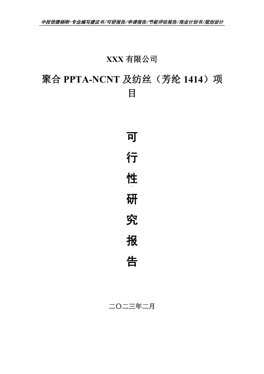 聚合PPTA-NCNT及纺丝（芳纶1414）可行性研究报告.doc_第1页