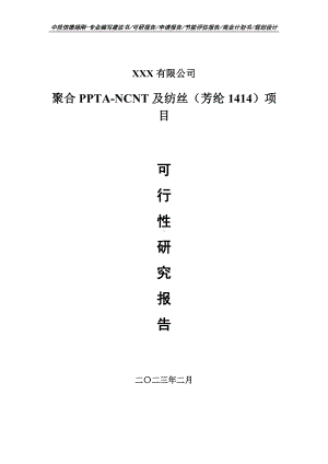 聚合PPTA-NCNT及纺丝（芳纶1414）可行性研究报告.doc