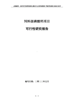 饲料级碘酸钙项目可行性报告（写作模板）.doc