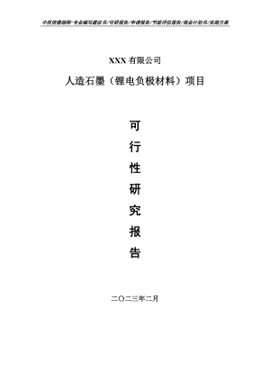 人造石墨（锂电负极材料）项目可行性研究报告申请备案.doc