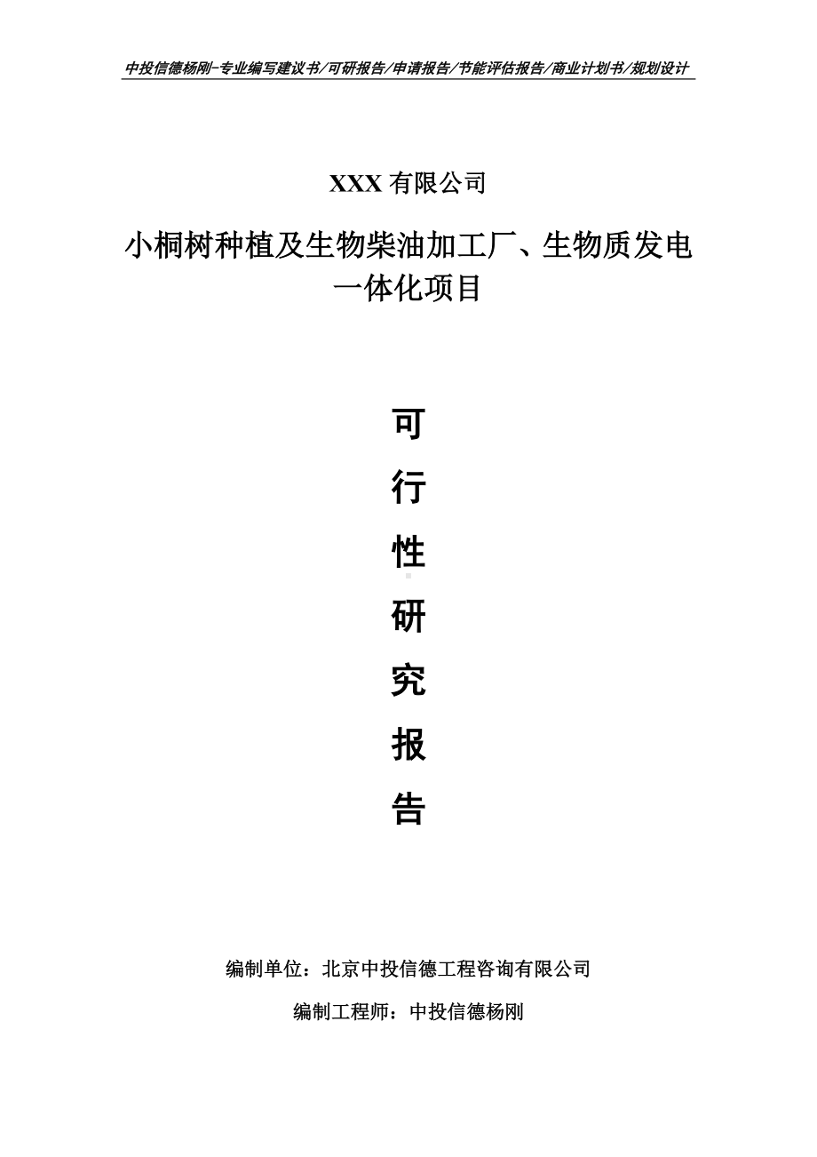 小桐树种植及生物柴油加工厂、生物质发电一体化可行性研究报告.doc_第1页