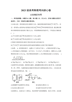 2023届山东省高考考向核心卷物理试题及答案.docx