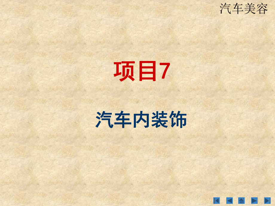 汽车美容项目 (6).ppt_第1页