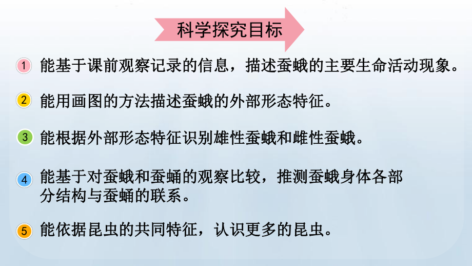 教科版科学三年级下册 第二单元 动物的一生5 茧中钻出了蚕蛾.pptx_第3页