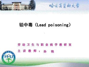 医学精品课件：lead poinsing.ppt