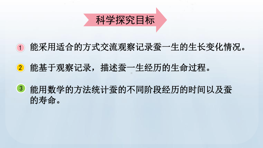 教科版科学三年级下册 第二单元 动物的一生6 蚕的一生.pptx_第3页