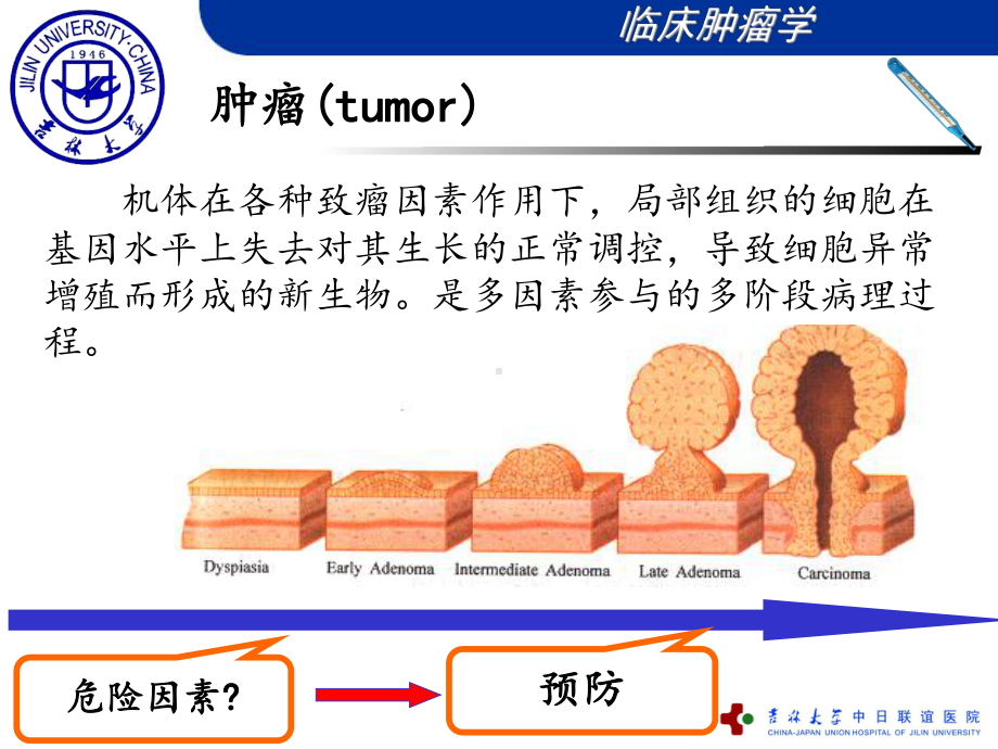 医学精品课件：2肿瘤发生的危险因素和三级预防新.ppt_第3页