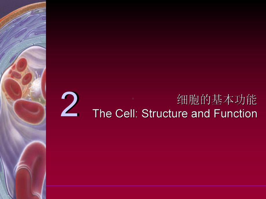 医学精品课件：细胞-结构与功能.ppt_第1页