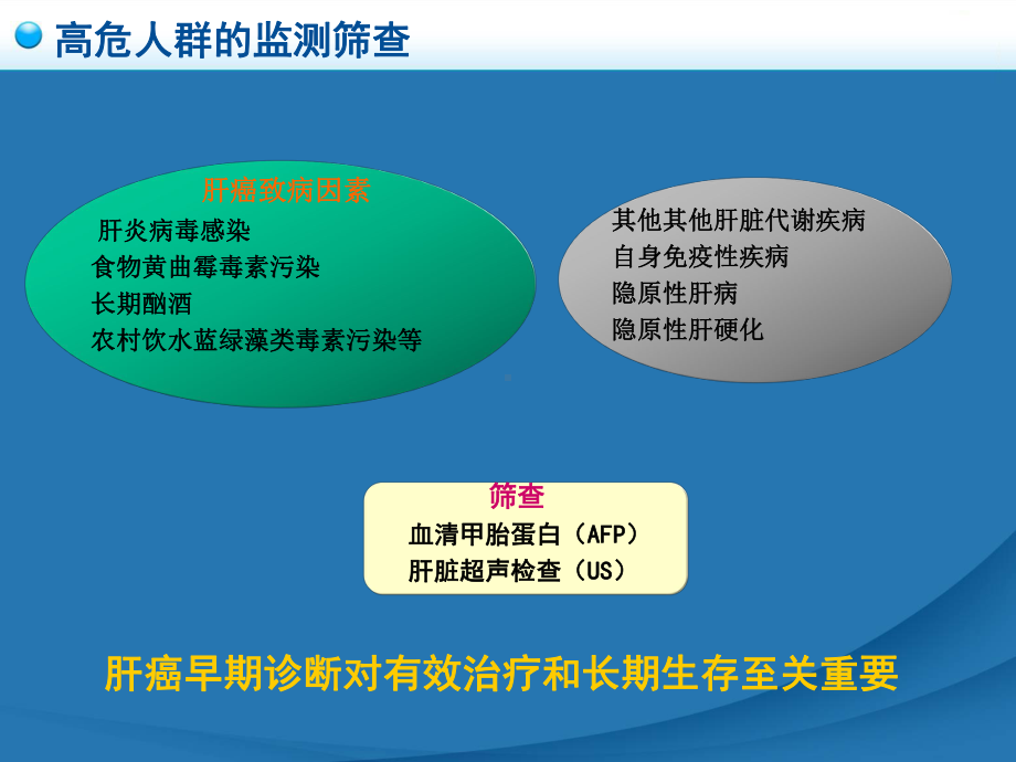 医学精品课件：原发性肝癌gan五年制.ppt_第2页