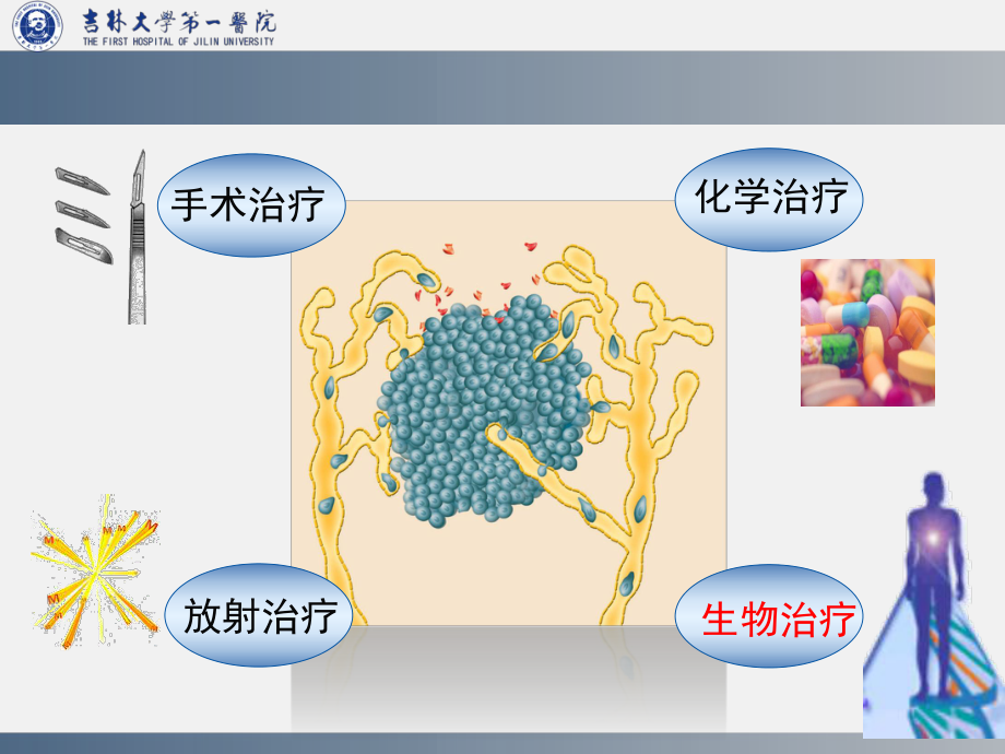 医学精品课件：崔久嵬-肿瘤生物治疗总论.ppt_第2页