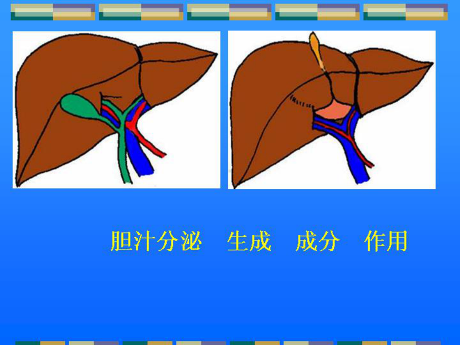 医学精品课件：胆道闭锁儿科讲课课件.ppt_第2页