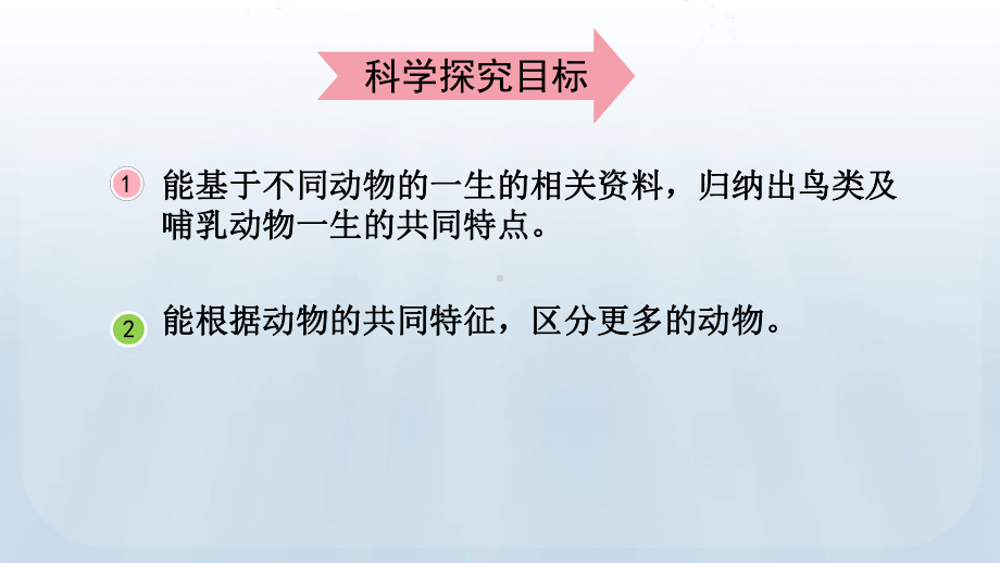 教科版科学三年级下册 第二单元 动物的一生8 动物的一生.pptx_第3页