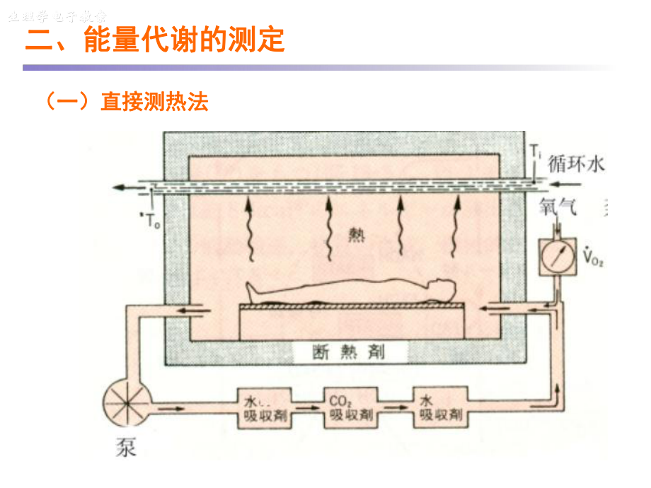 医学精品课件：能量与体温.ppt_第2页