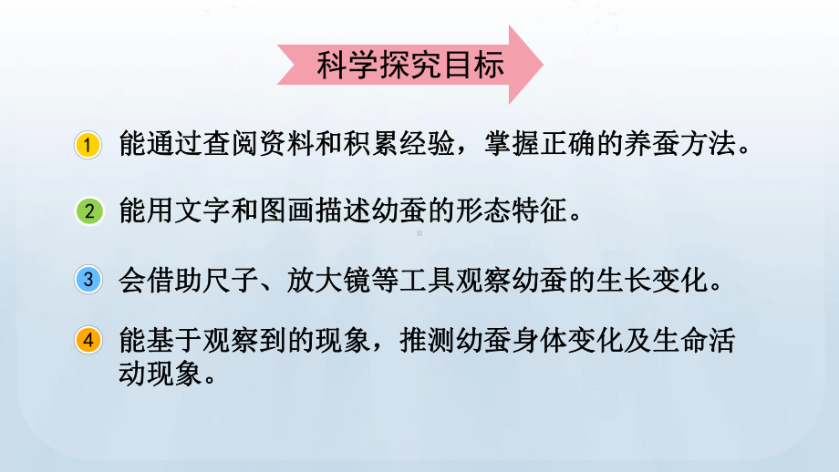 教科版科学三年级下册 第二单元 动物的一生 3 蚕长大了.pptx_第3页