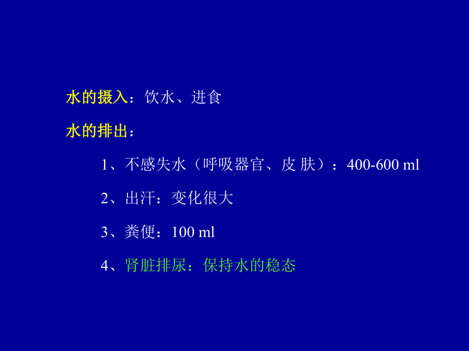 医学精品课件：泌尿 (2).ppt_第2页