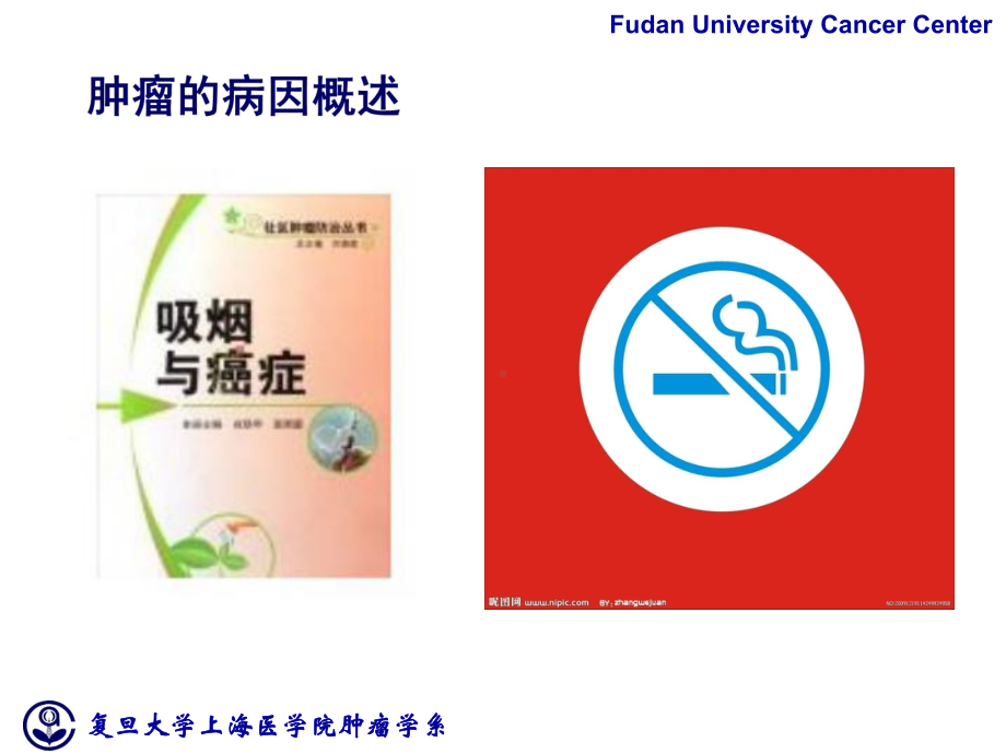 医学精品课件：病因学.ppt_第2页