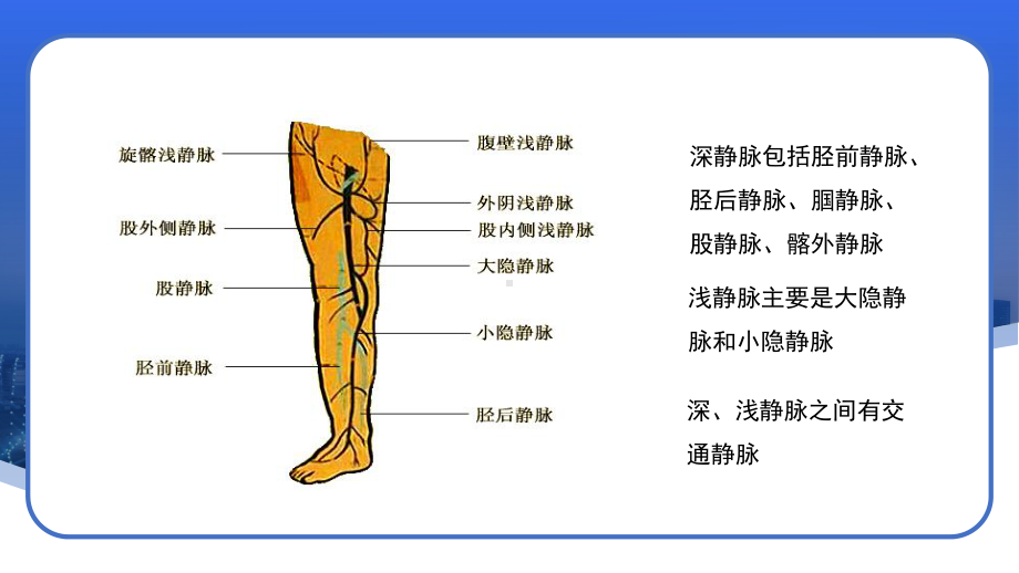 周围血管疾病病人的护理PPT原发性下肢静脉曲张病人的护理PPT课件（带内容）.pptx_第3页