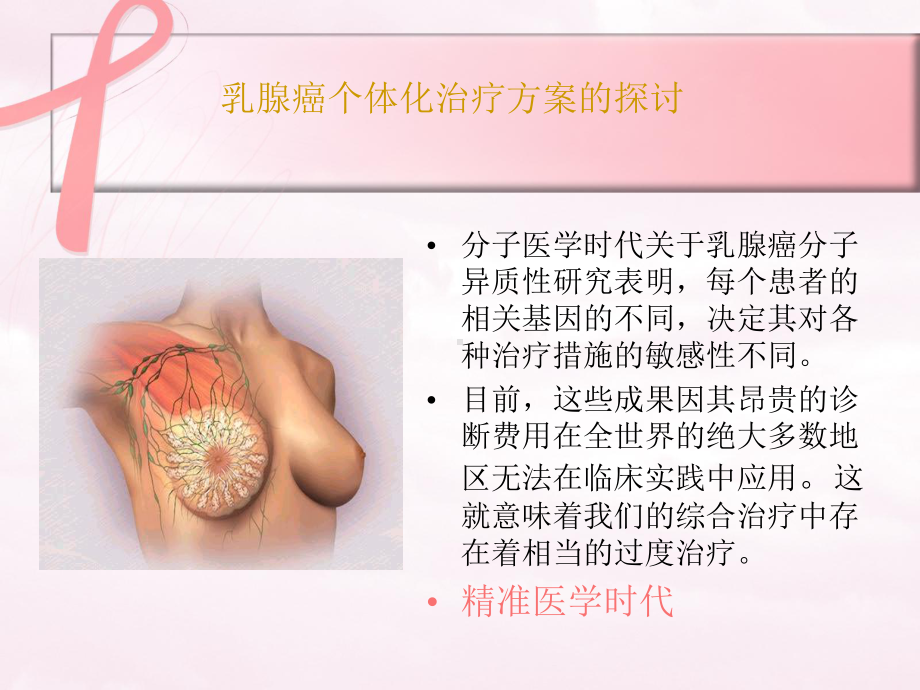 医学精品课件：乳腺癌个体化治疗方案的探讨.ppt_第3页