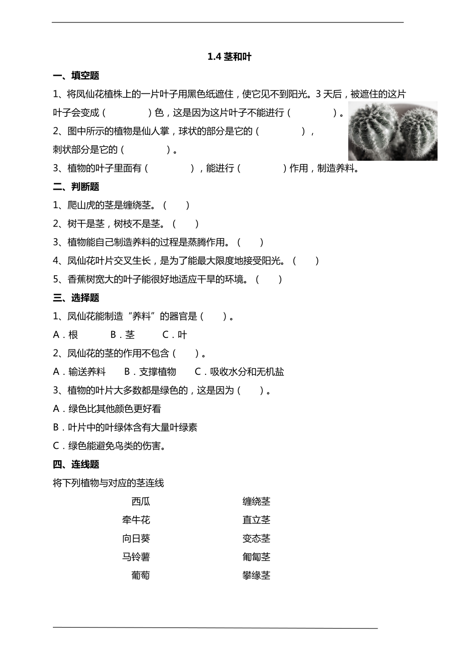 1.4茎和叶 ppt课件（40张PPT）+教案+练习+素材-2023新教科版（2017）四年级下册《科学》.rar