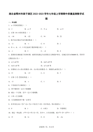 湖北省鄂州市梁子湖区2022-2023学年七年级上学期期中质量监测数学试题.docx