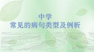 常见的病句类型及解析 ppt课件（共33张ppt）2023年中考语文一轮复习.pptx