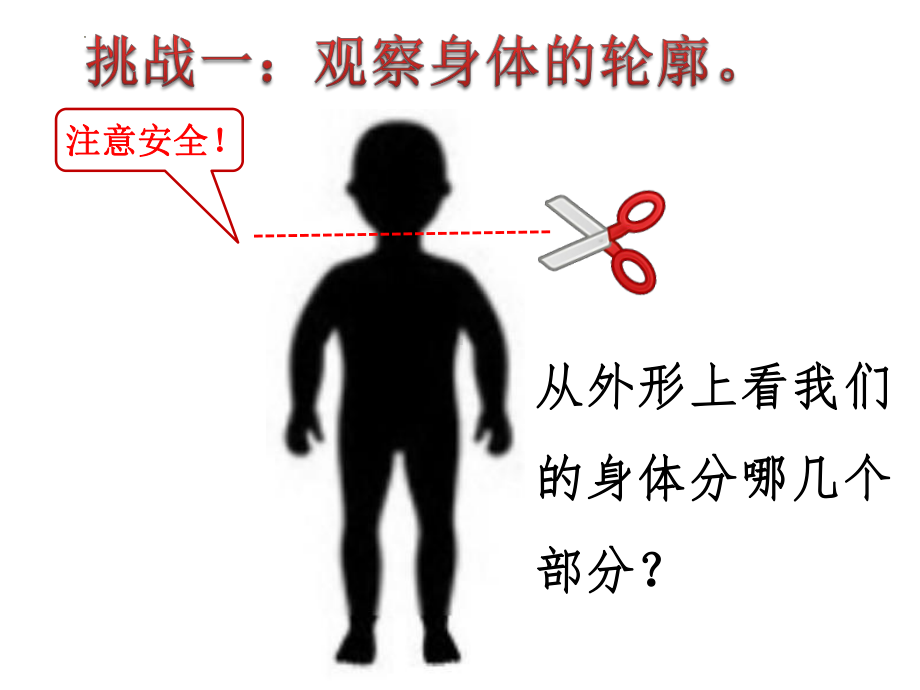 二年级下学期科学教科版2.1《观察我们的身体》课件.pptx_第3页