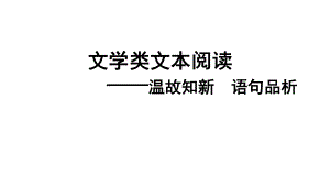 文学类文本阅读-品析语言魅力 ppt课件（共17张ppt）2023年中考语文一轮复习.pptx