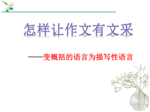 变概括性语言为描写性语言 ppt课件（共19张ppt）2023年中考语文一轮复习.pptx