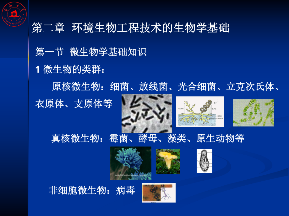 大学精品课件：第2章　环境生物工程的生物学基础.ppt_第2页