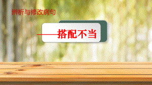 2023年中考语文一轮复习：辨析并修改病句之搭配不当 ppt课件（共34张ppt）.pptx