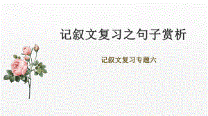 2023年中考语文一轮复习《记叙文复习之句子赏析》ppt课件（共53张PPT）.pptx