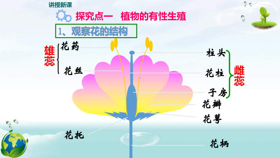 人教版八年级下册生物第七单元第一章 生物的生殖和发育 教学课件113张.pptx_第3页