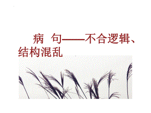 2023年中考语文一轮专题复习：病句之不合逻辑、结构混乱ppt课件（共41张PPT）.pptx