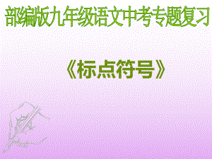 2023年中考语文专题复习-《标点符号》ppt课件（共34页）.pptx