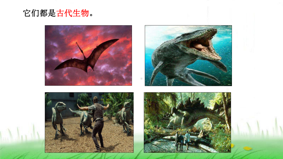 6.2.6《古代生物的多样性》ppt课件-2023新教科版六年级下册《科学》.ppt_第3页