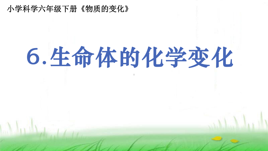 6.4.5《生命体的化学变化》ppt课件-2023新教科版六年级下册《科学》.ppt_第1页