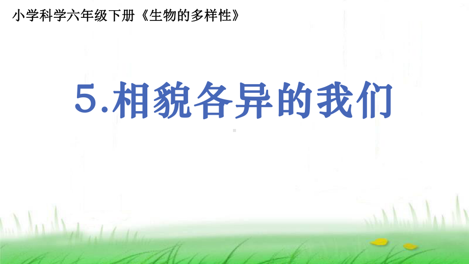 6.2.5《相貌各异的我们》ppt课件-2023新教科版六年级下册《科学》.ppt_第1页