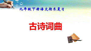 九年级下册语文期末复习：古诗词曲 课件120张.pptx